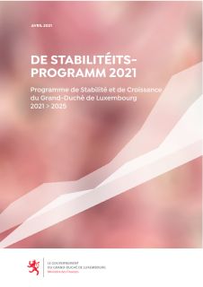 Stability programme 2021